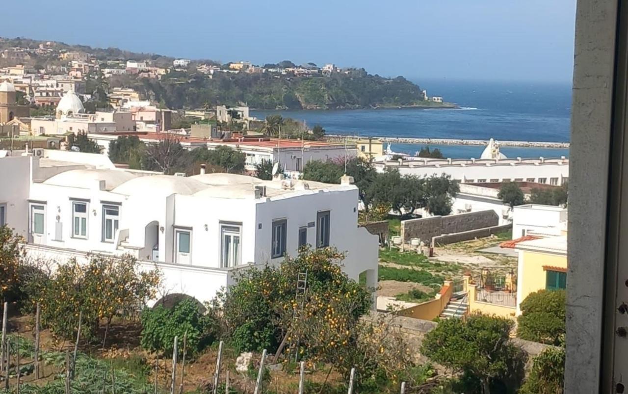 La Casa Dei Sogni Villa Procida Ngoại thất bức ảnh